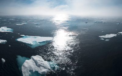 Klimawandel  menschengemacht