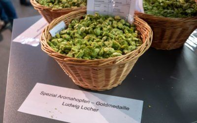 Doch eine gute Ernte