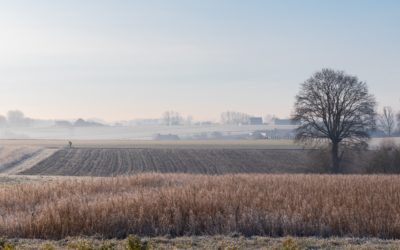 Der ruhige November