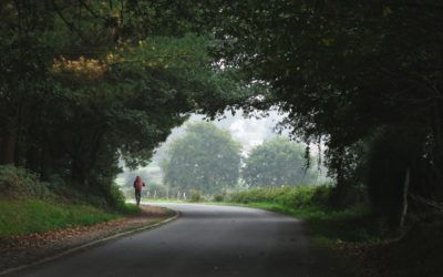 Der Jakobsweg in Wolnzach