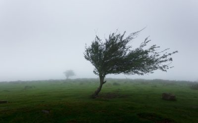 Nur ein „Sabinchen“