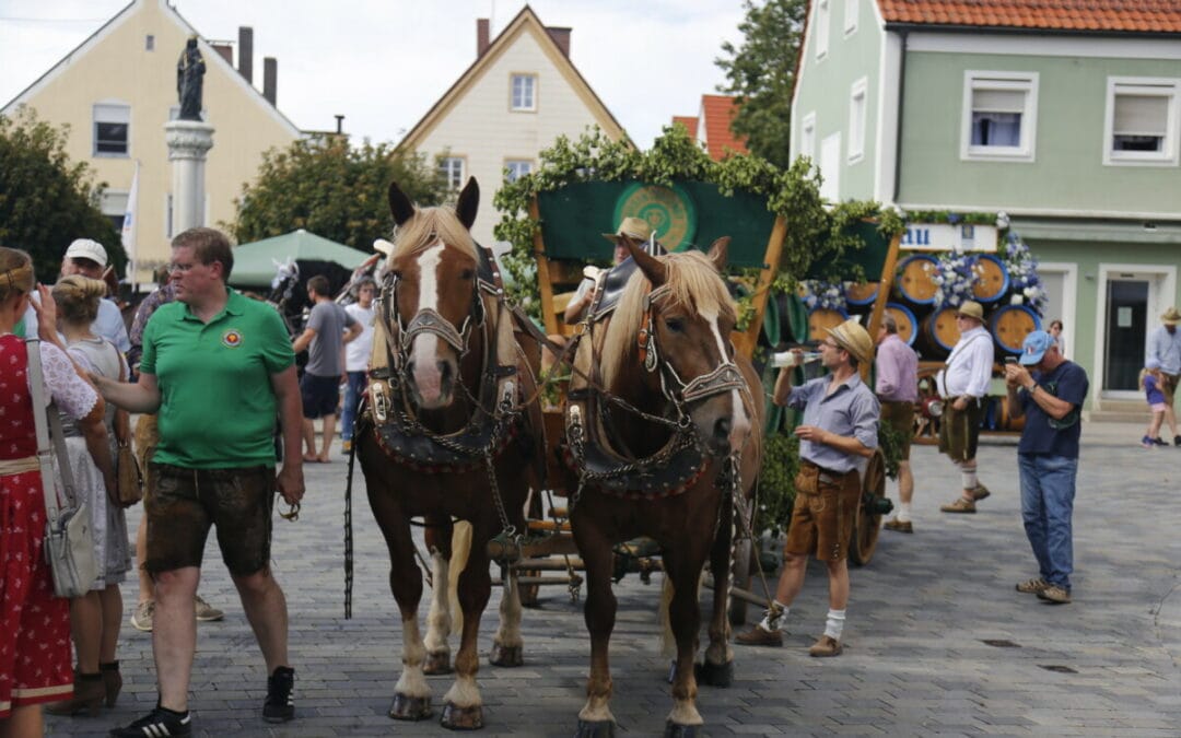 Heimat der Hallertau