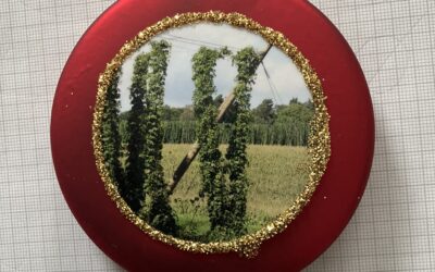 Weihnachtlicher Hopfen