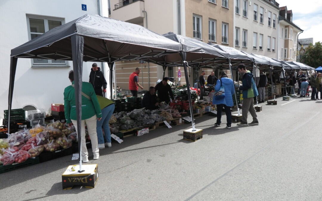 Der Maisonntag als Tag der offenen Türen