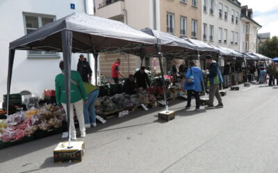 Der Maisonntag als Tag der offenen Türen