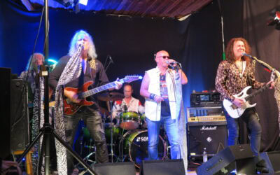 Die Varianten des Rock